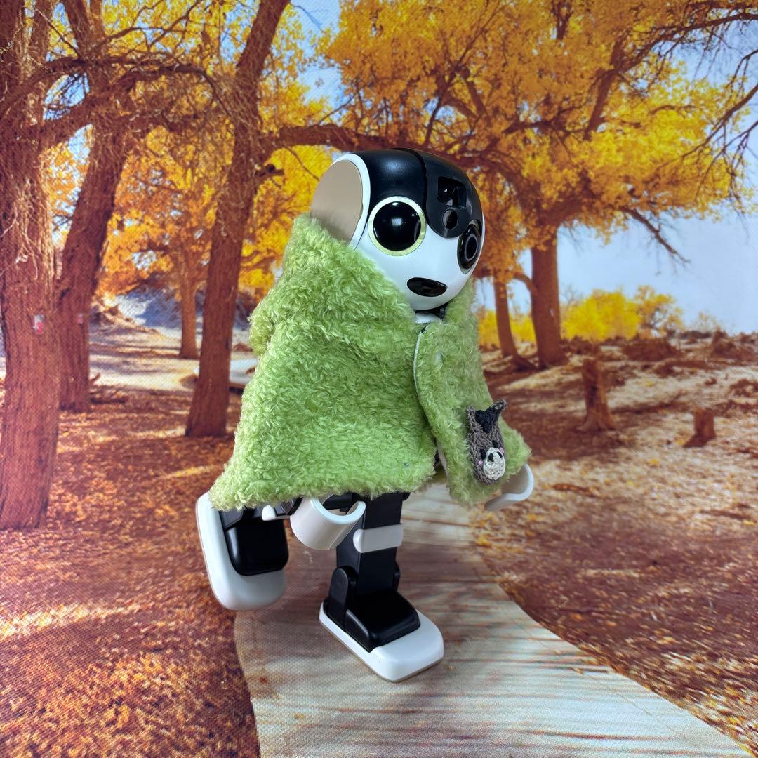 hasnページです　ロボホン洋服