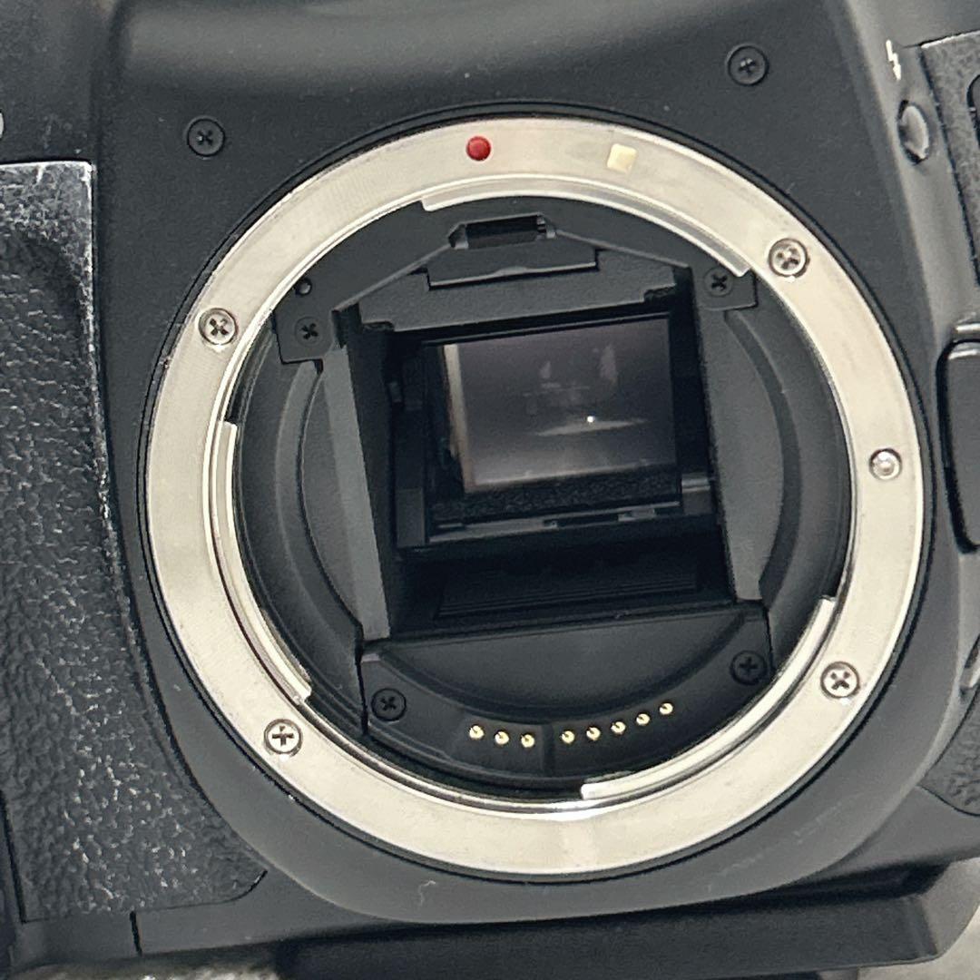 CANON キャノン EF マクロ 100mm F2.8 EFマウント レンズ