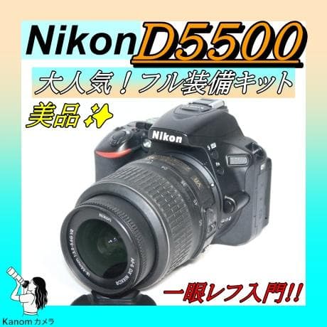 初心者応援セット！ 美品⭐Nikon D5500 入門⭐一眼レフ⭐簡単操作