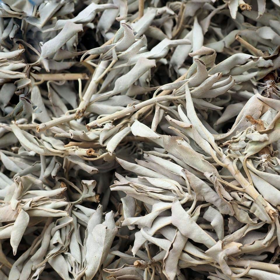 ★特選再入荷★無農薬カリフォルニア産【箱配送1kg高品質ホワイトセージ】❤️