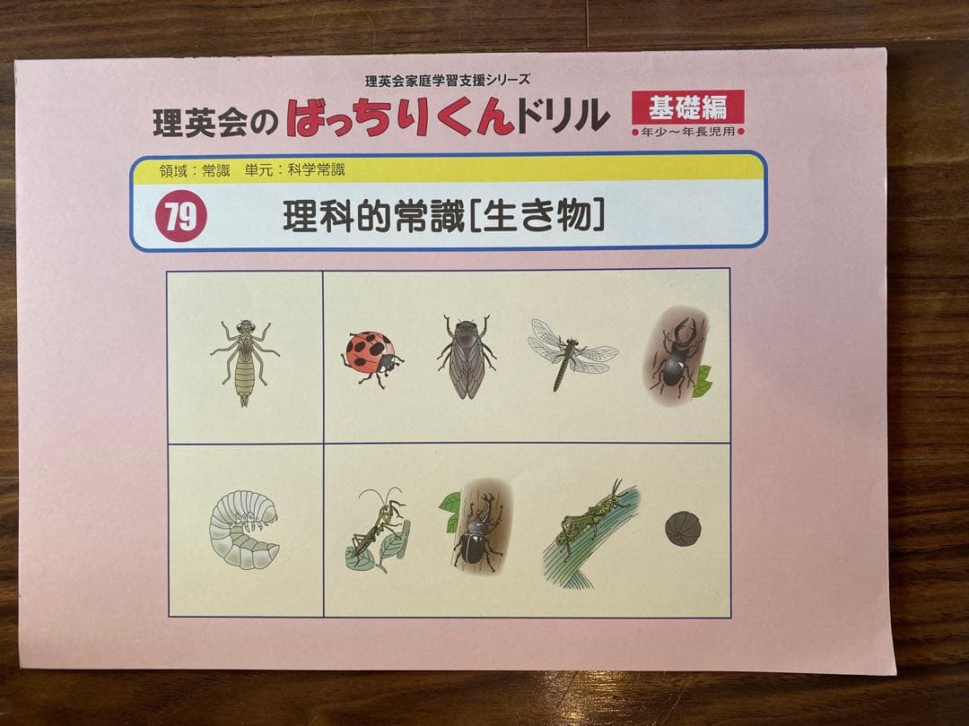 ばっちりくんドリル　　理英会　91冊＋CD5セット