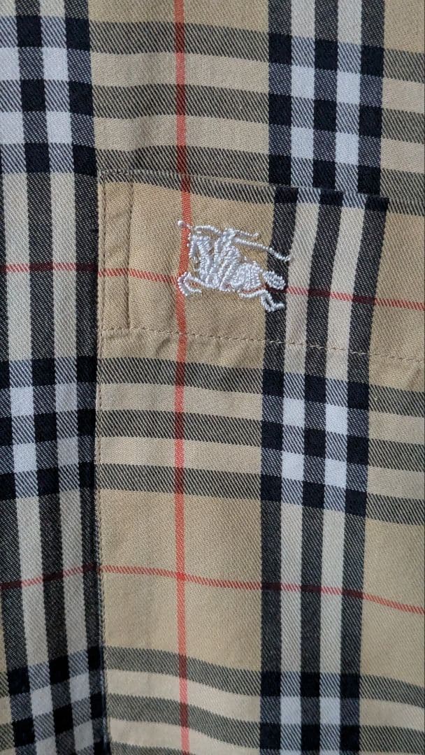 ✨お値下げ✨BURBERRY メンズシャツ Ｌ クリーニング済み ボタンダウン