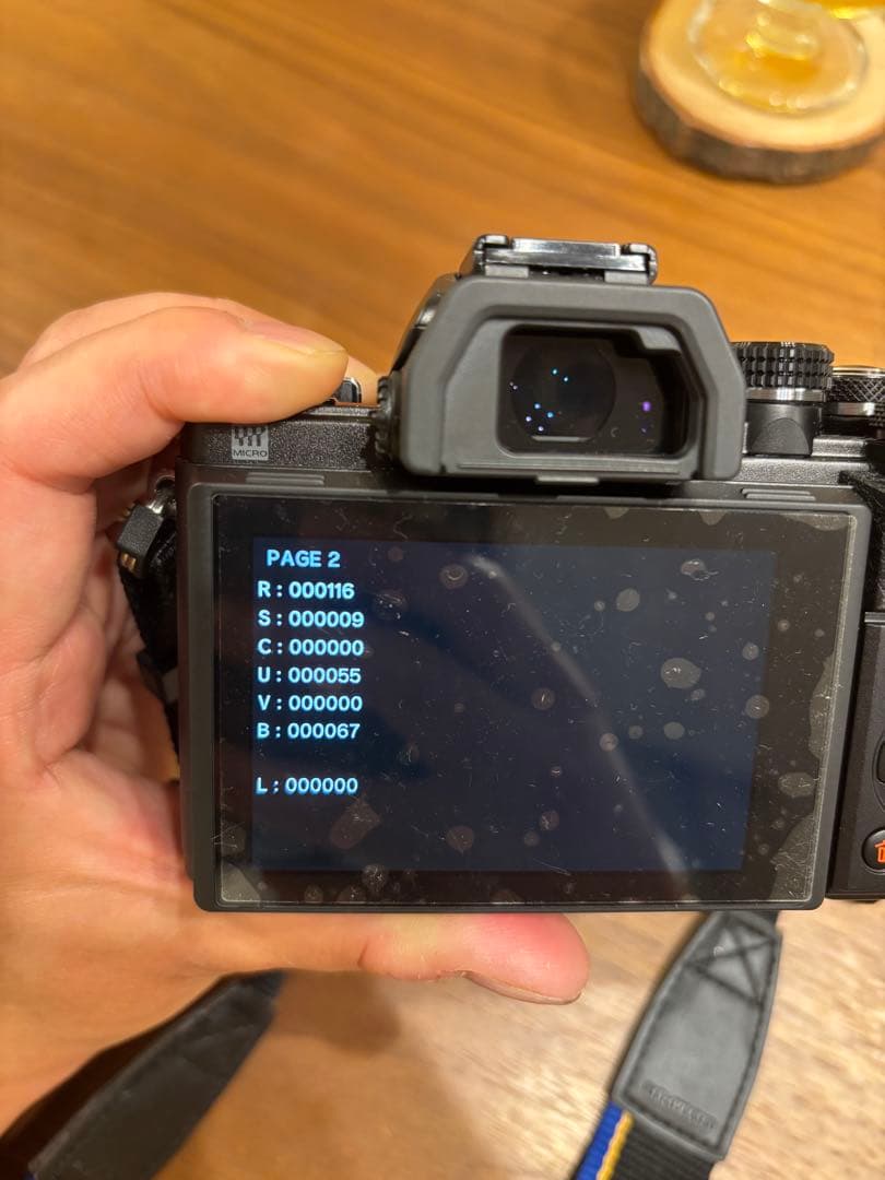 （極美品）OLYMPUS E-M10 Mark II本体　レンズ2本　バッグ付