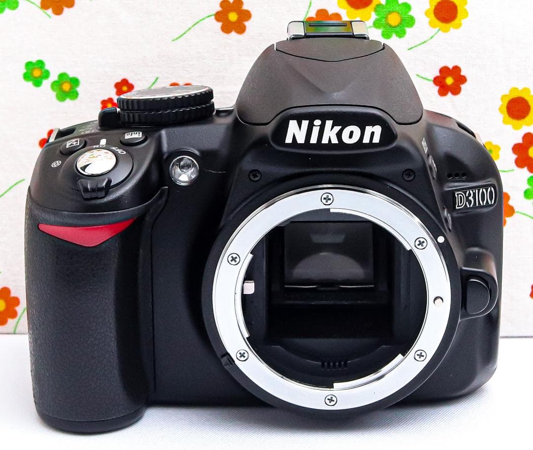 ニコン Nikon D3100☆スマホに転送♪☆手振れ補正付き☆初心者おススメ！