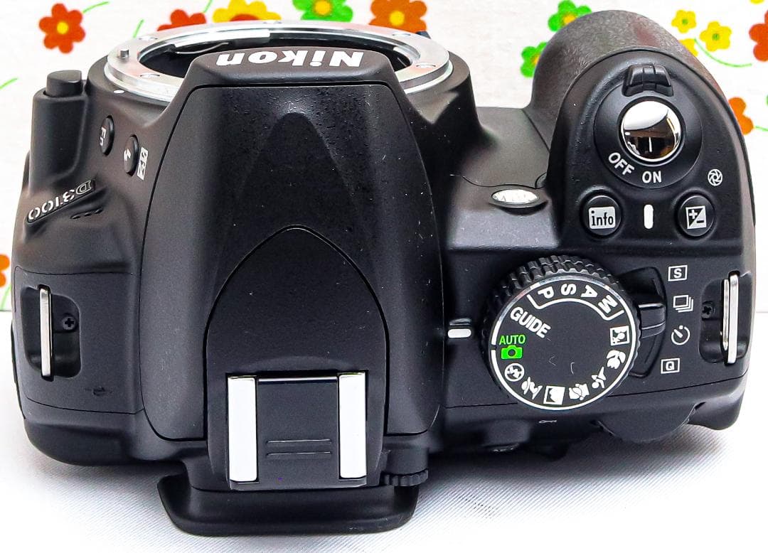 ニコン Nikon D3100☆スマホに転送♪☆手振れ補正付き☆初心者おススメ！