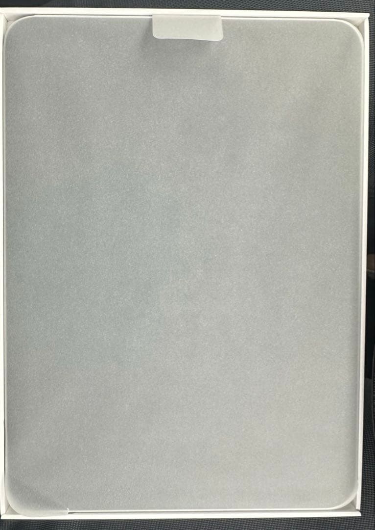 Apple iPad Wi-Fi iPad A16 最新モデル、動作確認のみ