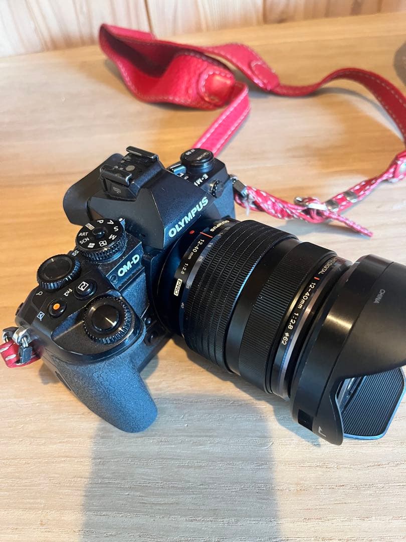 OLYMPUS OM-D ミラーレス一眼カメラ　 E M-1