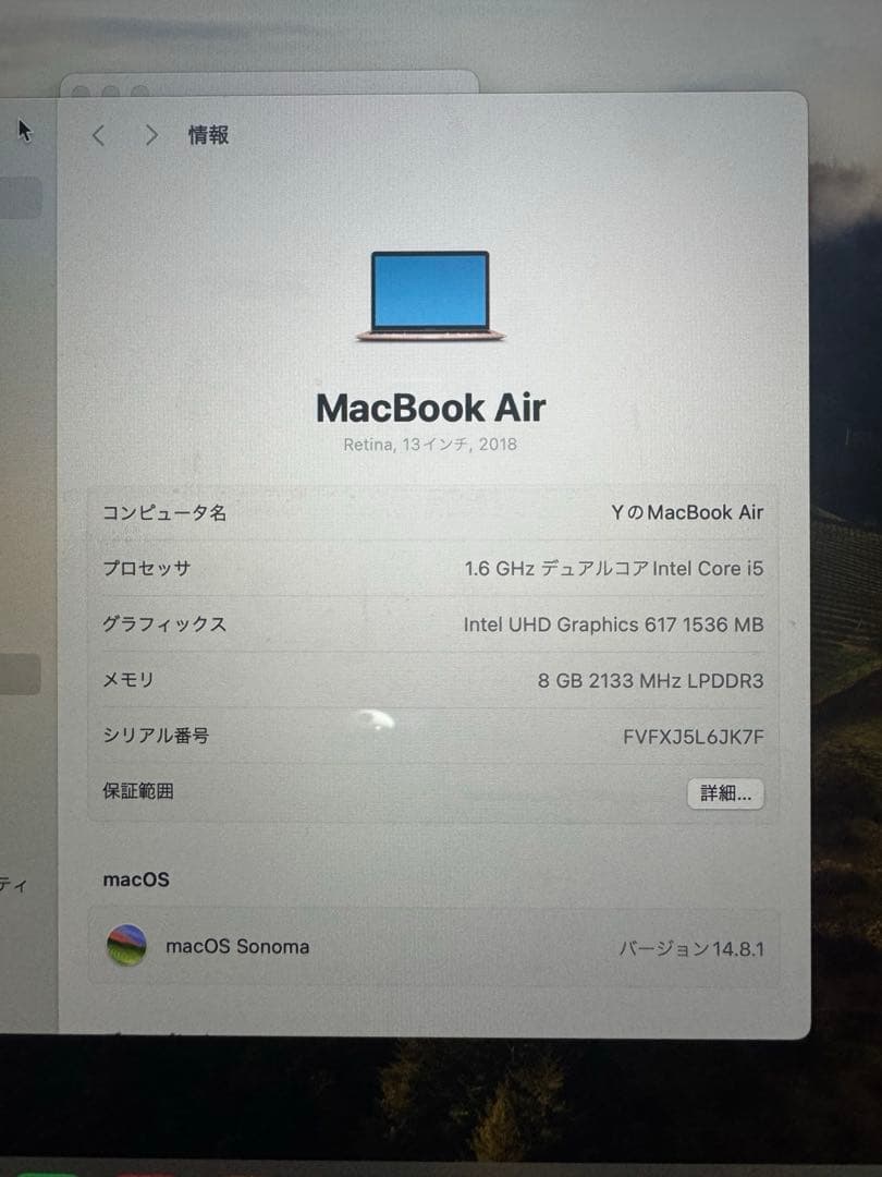 MacBook Air ピンクゴールド 本体