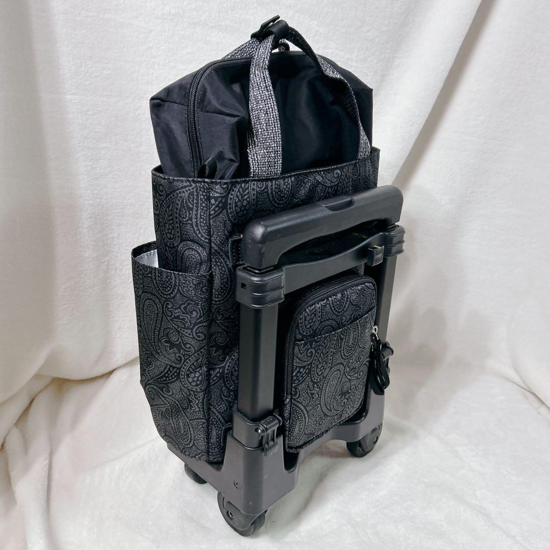 美品 SWANY スワニー キャリー バッグ ペイズリー柄 ストッパー付き 保冷