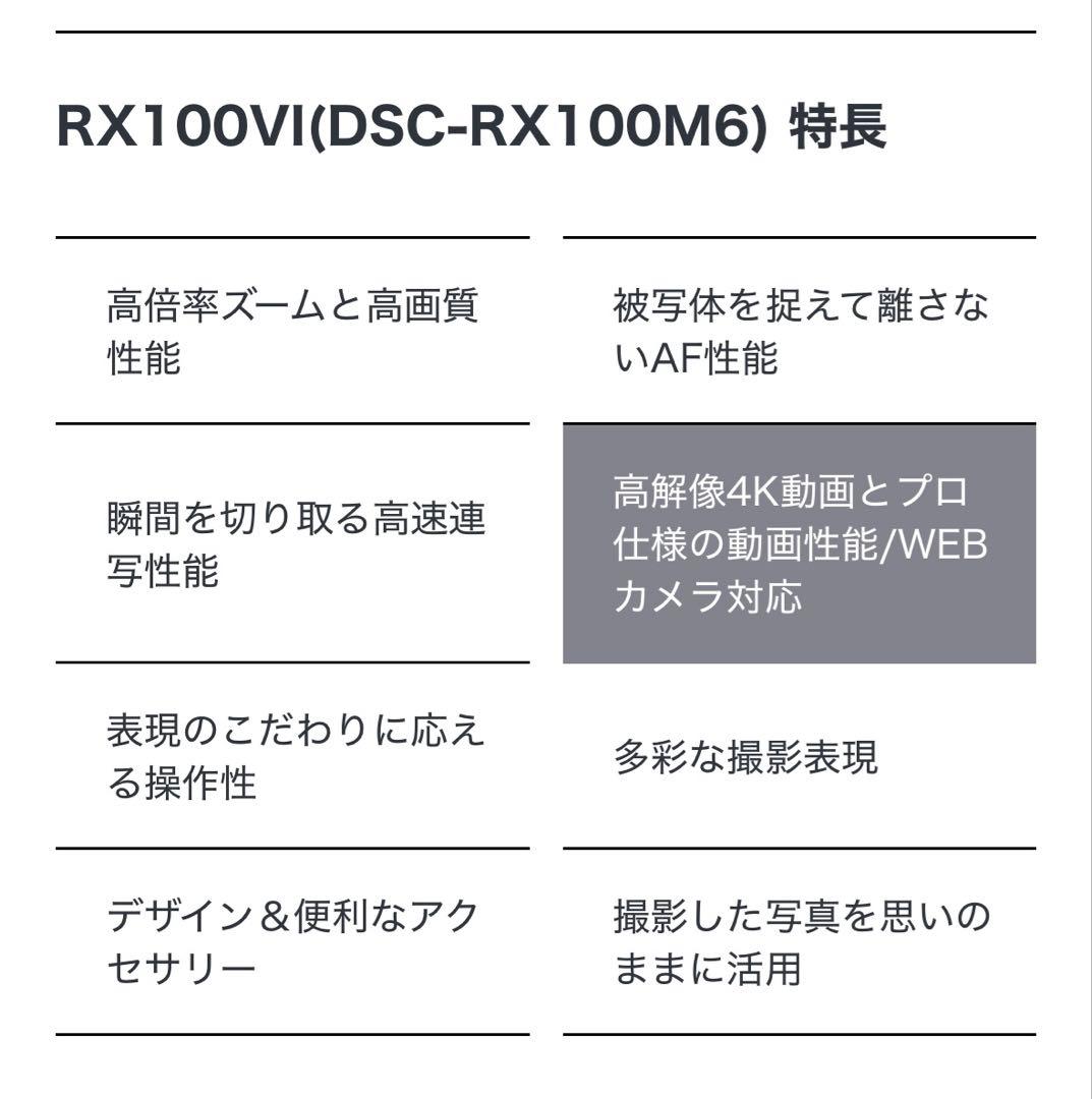 SONY DSC-RX100M6 ケースセット