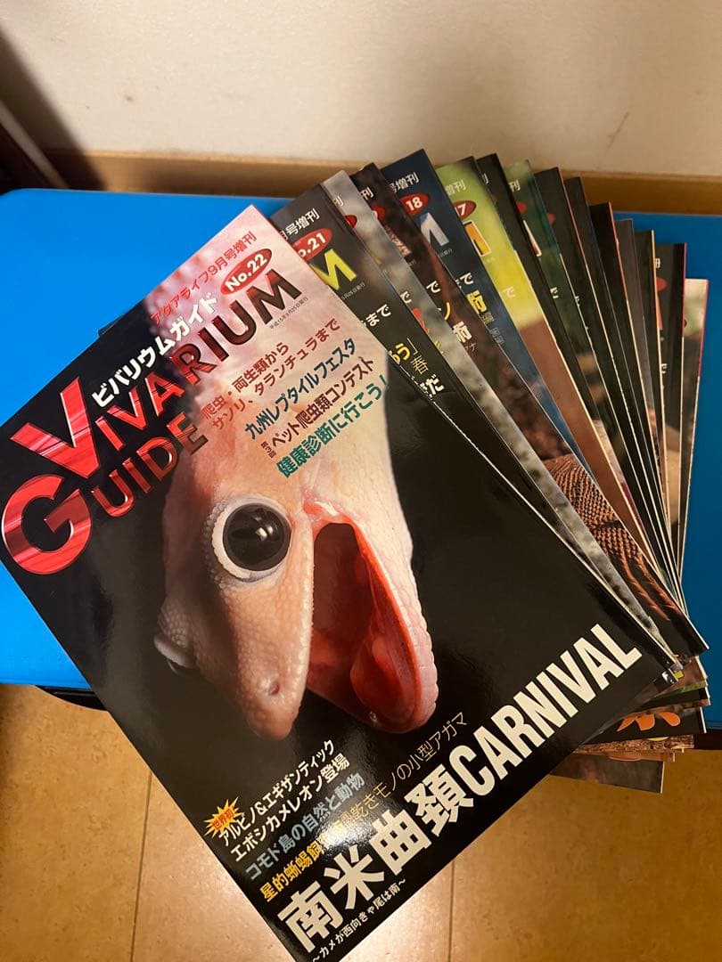 ビバリウムガイドNo8〜No37、創刊号