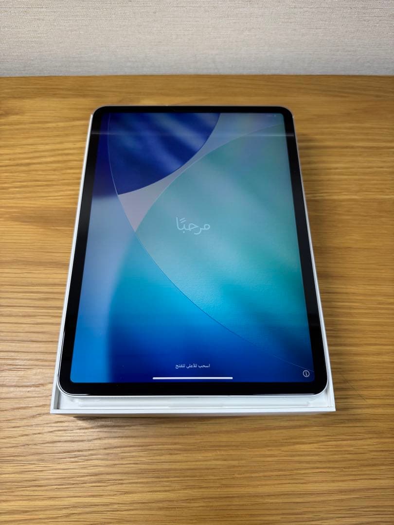 【優良個体】iPad Pro 11 第2世代 256GB セルラー SIMフリー