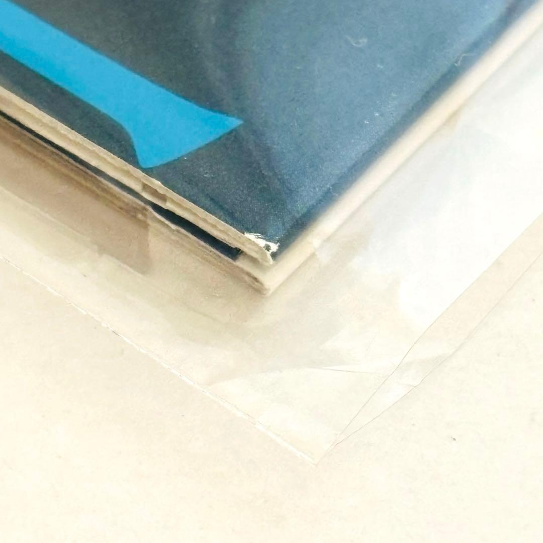 MyGO!!!!! 迷跡波 レコード アナログ BanG Dream