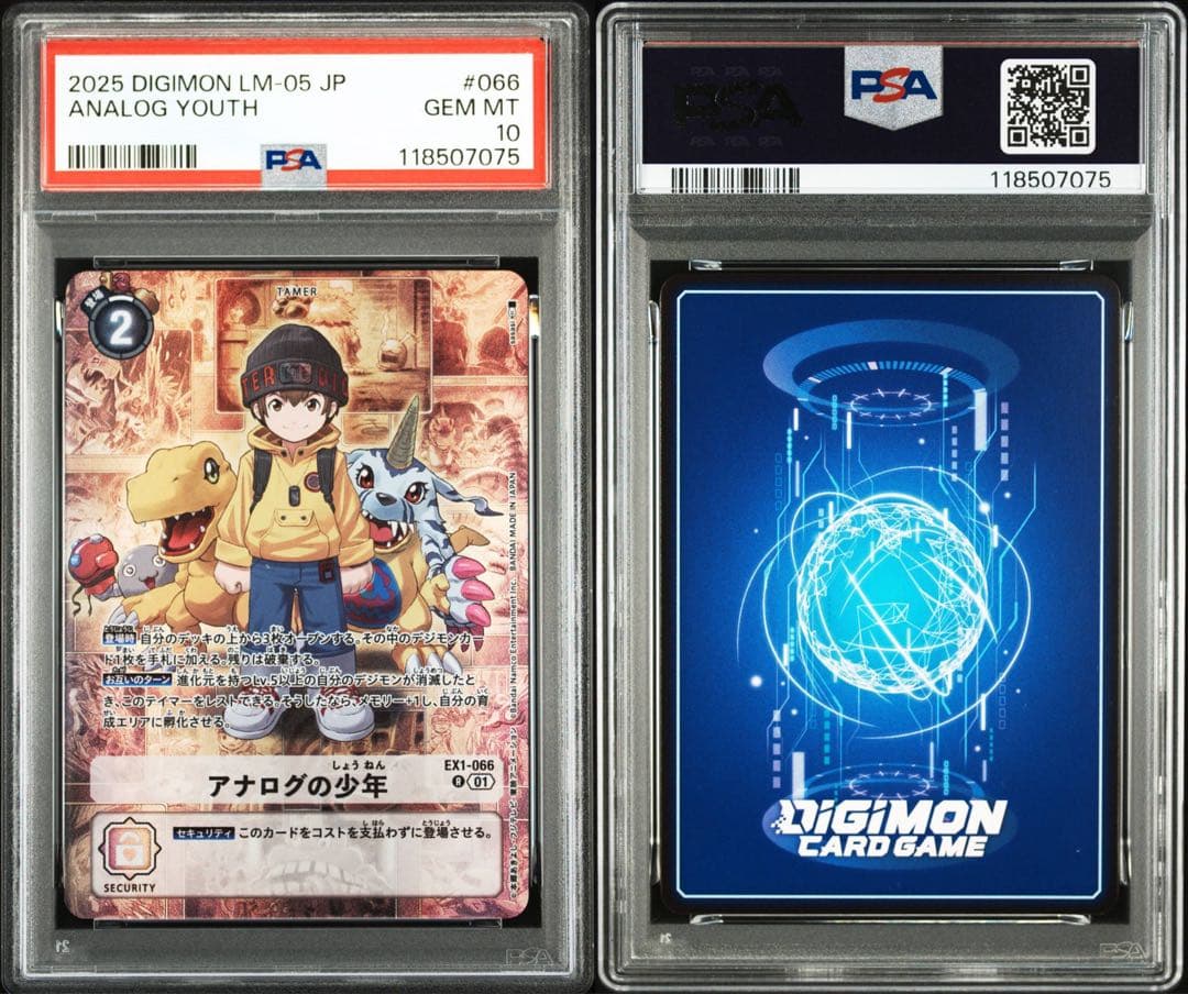 【PSA10】アナログの少年　デジモンカード　アグモン ガブモン　ポケモン