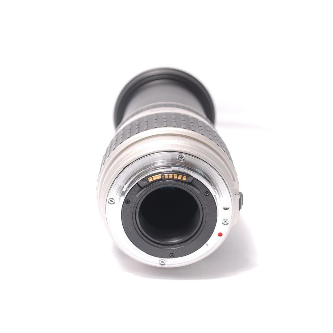 ❤即購入1000円OFF❤シグマ SIGMA 28-300mm Canon EF