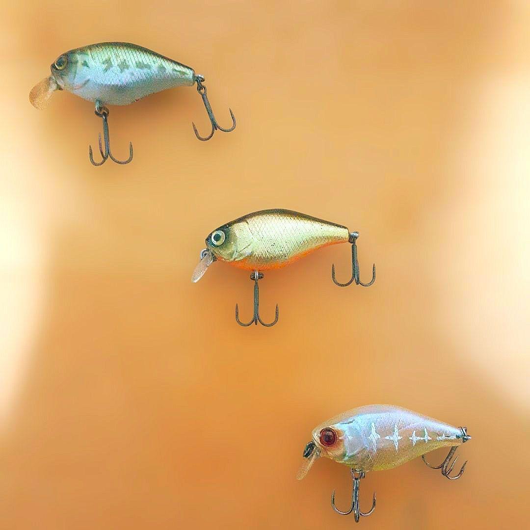 【セット販売】‼️ジャッカル レイクポリス チェリー‼️