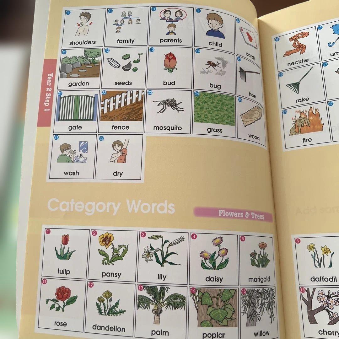 LITTLE BILINGUAL YEAR2教材セット しちだ 英語