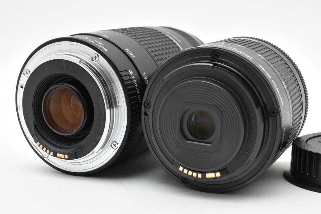 デジタル一眼レフカメラCanon EOS 9000D標準&望遠ダブルレンズセット