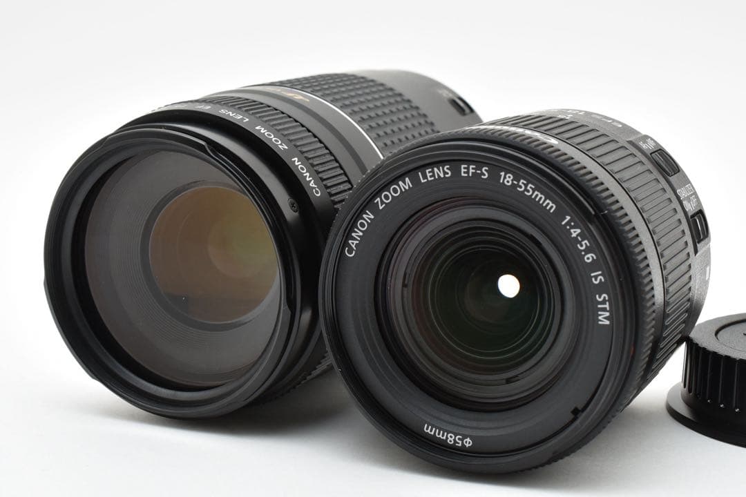 デジタル一眼レフカメラCanon EOS 9000D標準&望遠ダブルレンズセット