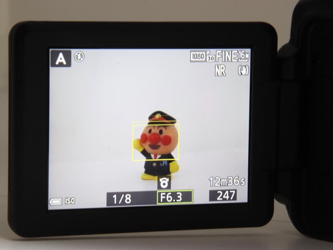 Nikon COOLPIX P900 83倍ズームとHD動画撮影 ニコンコンデジ