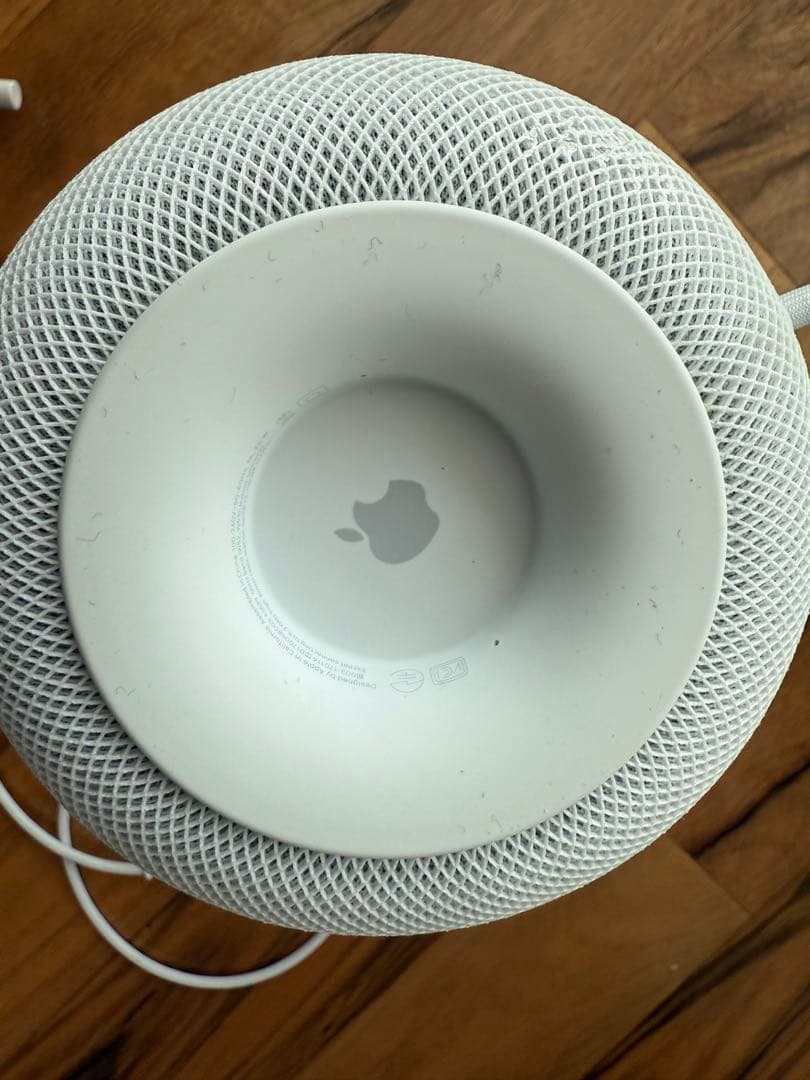 Apple Pod ホワイト 第1世代