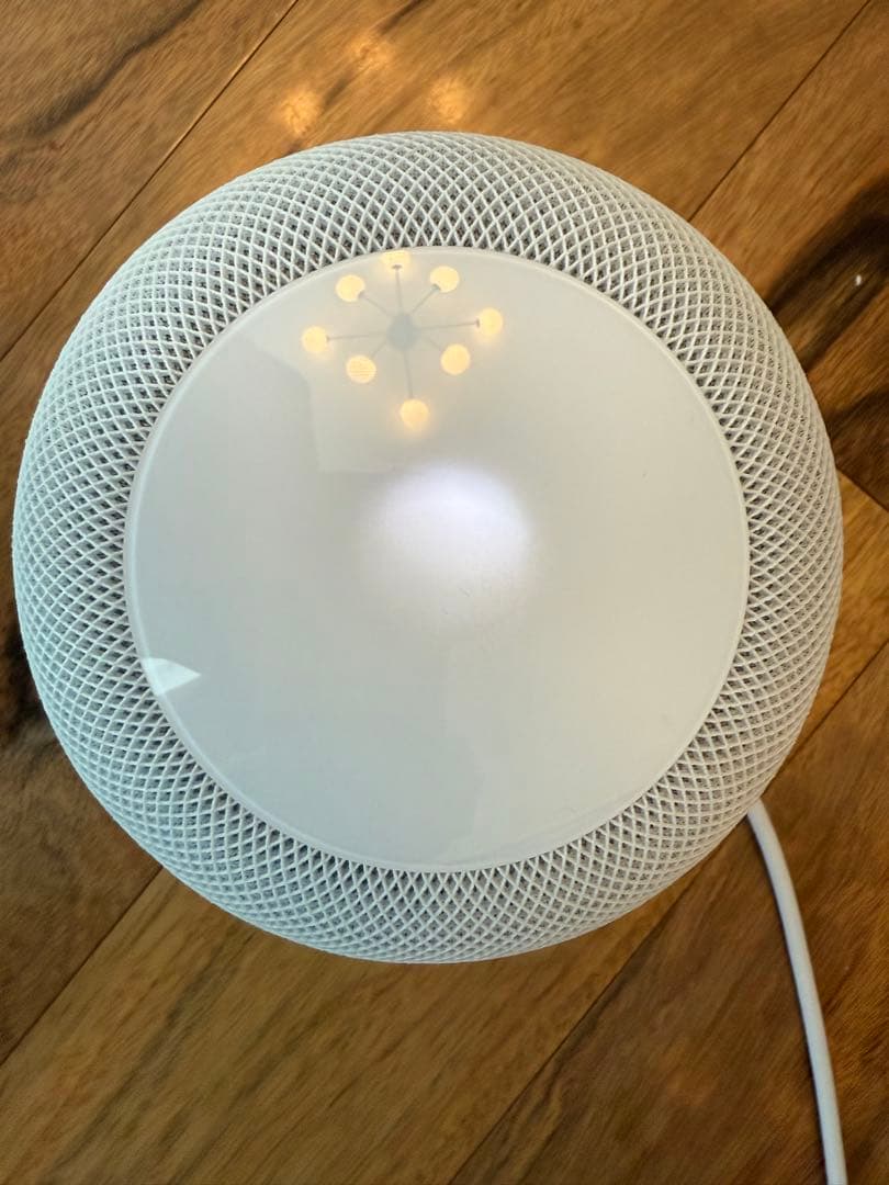 Apple Pod ホワイト 第1世代