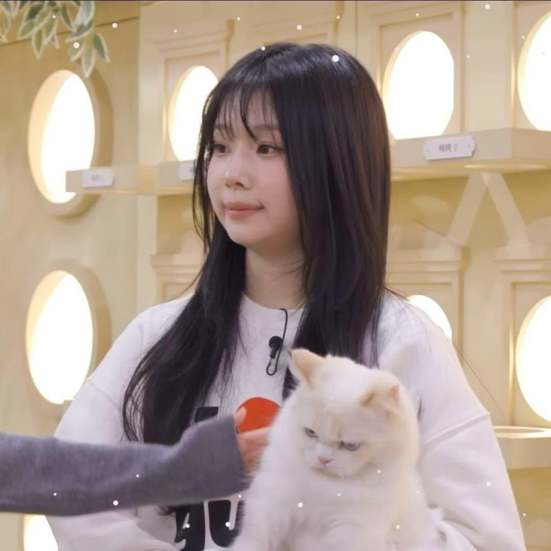 SAYMYNAME ドヒ サインポラ