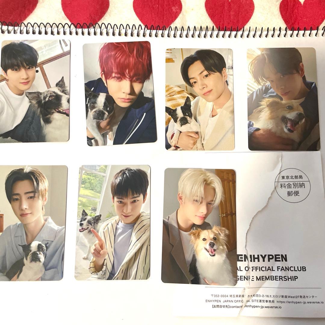 ENHYPEN FC限定　アンケートトレカ特典　エナプ　コンプ　2025