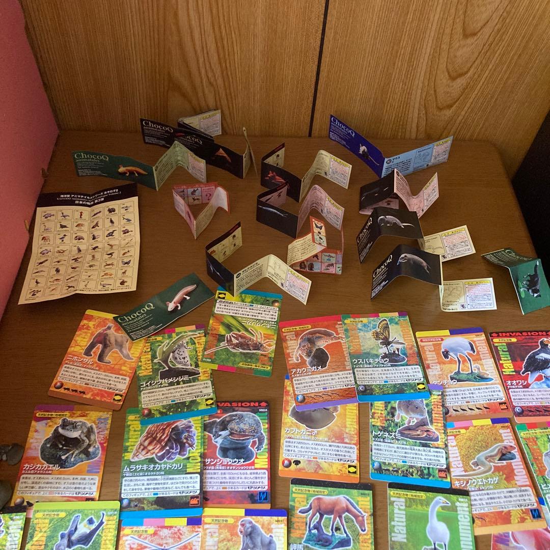 海洋生物動物フィギュアセットわがままな日本の天然記念物カード50枚以上特別ケース