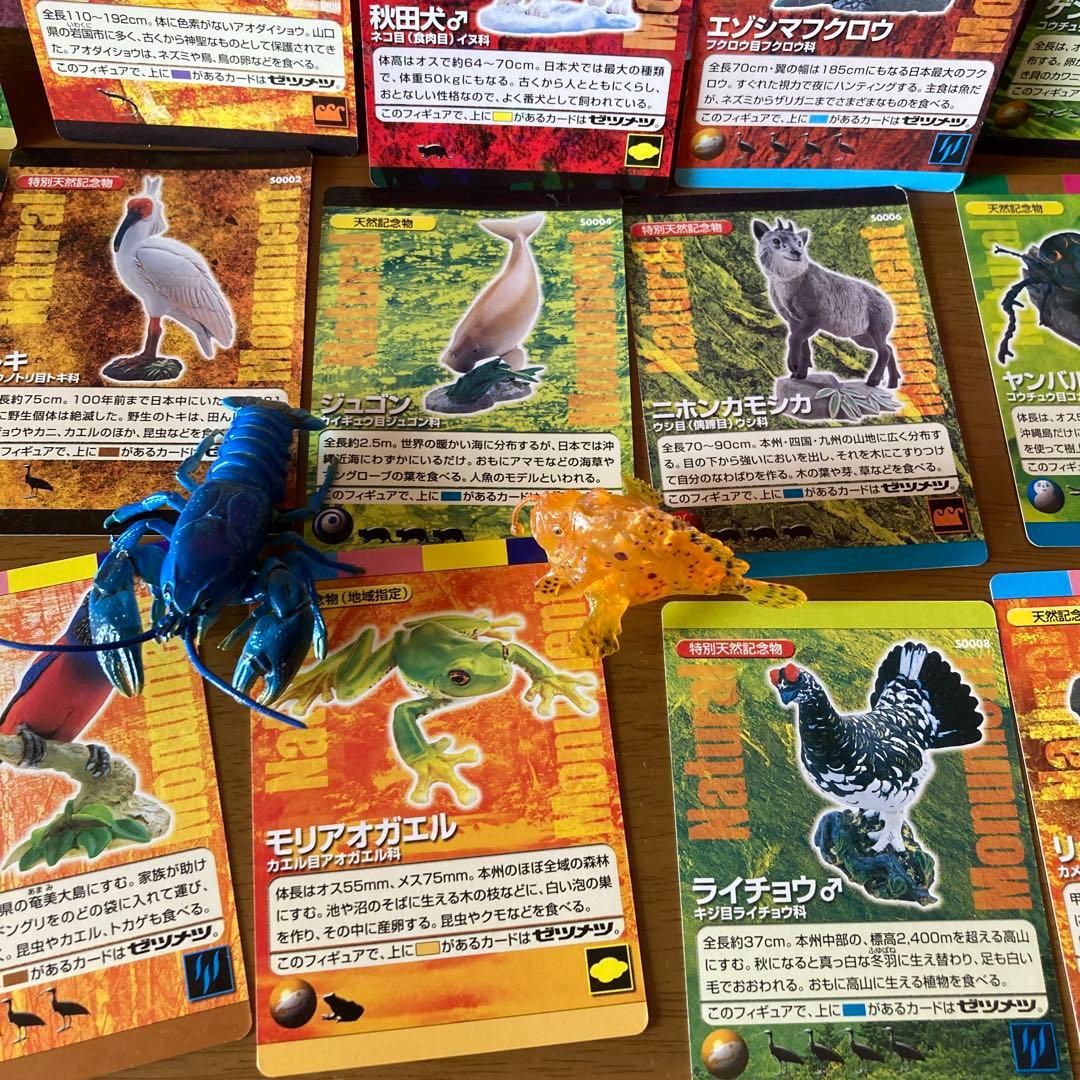海洋生物動物フィギュアセットわがままな日本の天然記念物カード50枚以上特別ケース