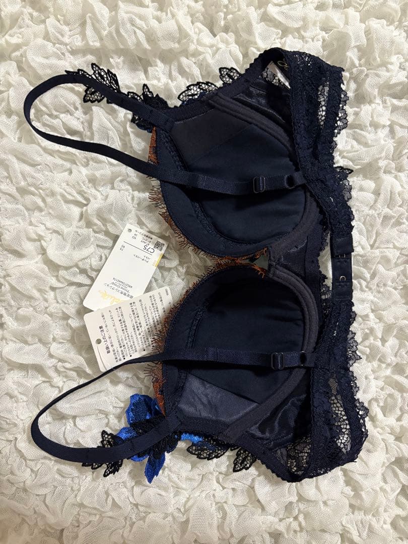 WACOAL Salute 花柄刺繍 ブラ&ショーツセット C75