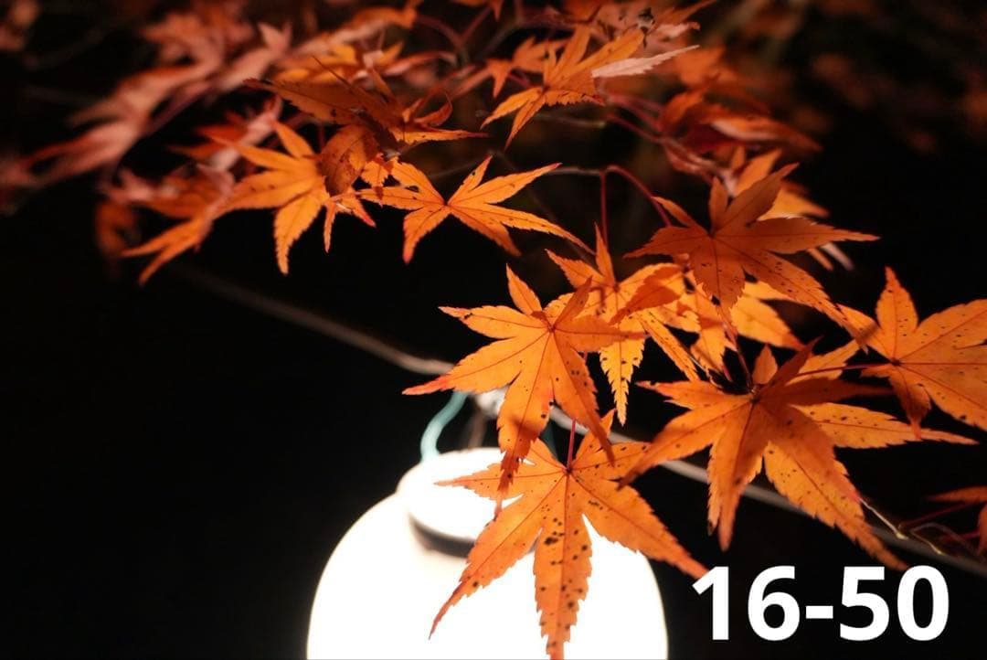 【最新モデル】SONY ZV-E10Ⅱ ホワイト ダブルレンズ Vlogセット