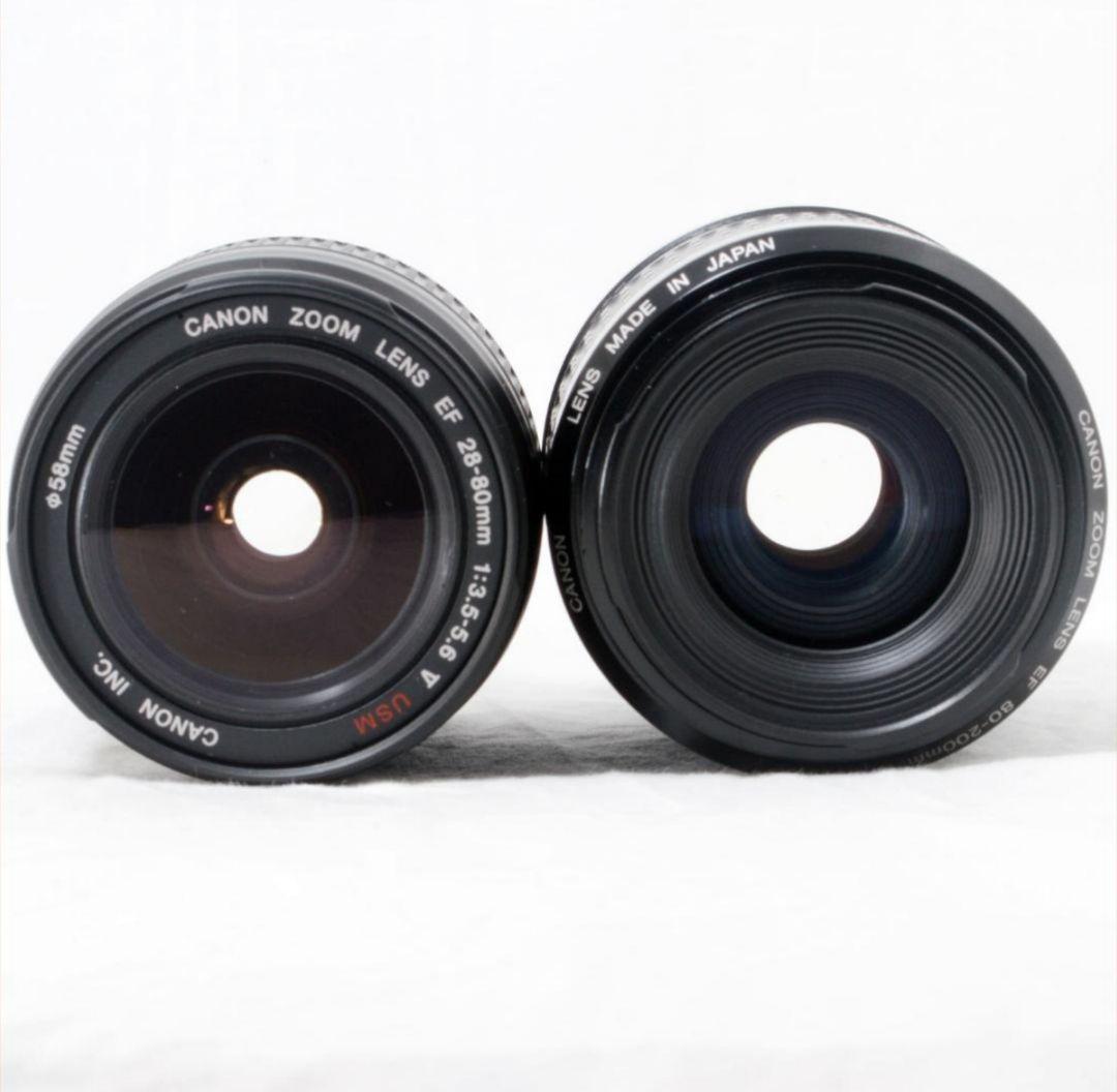 キャノン Canon EOS 50D デジタル一眼レフ バッテリー２個付