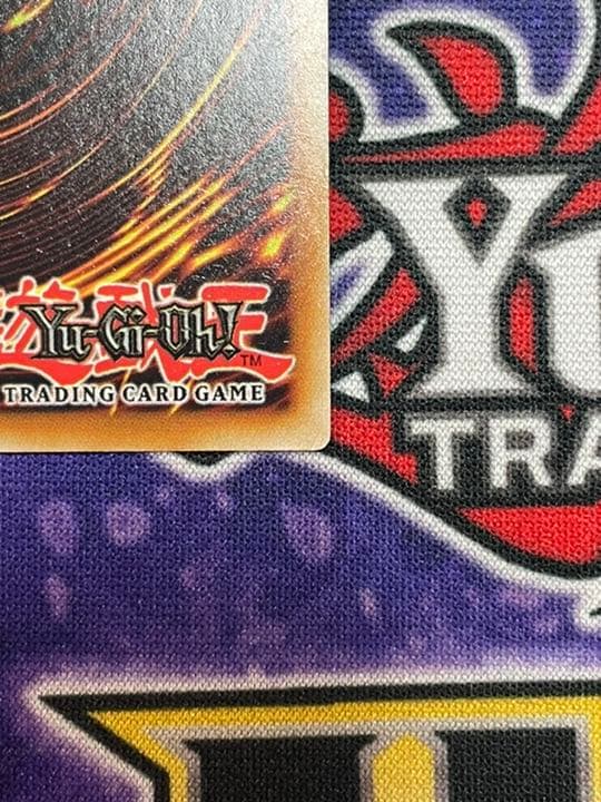 遊戯王 英語 EU版 トゥーンハーピィレディ コレクターズレア