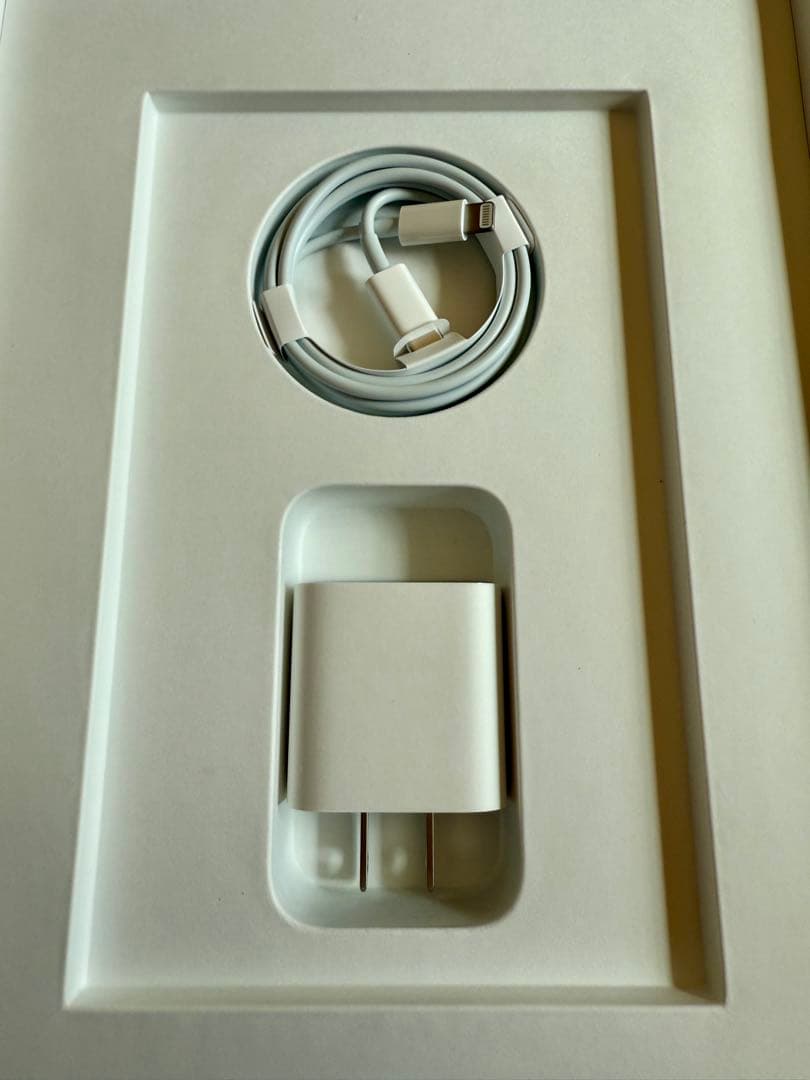 【美品おまけ付き】iPad 第9世代 Wi-Fi 64GB スペースグレイ