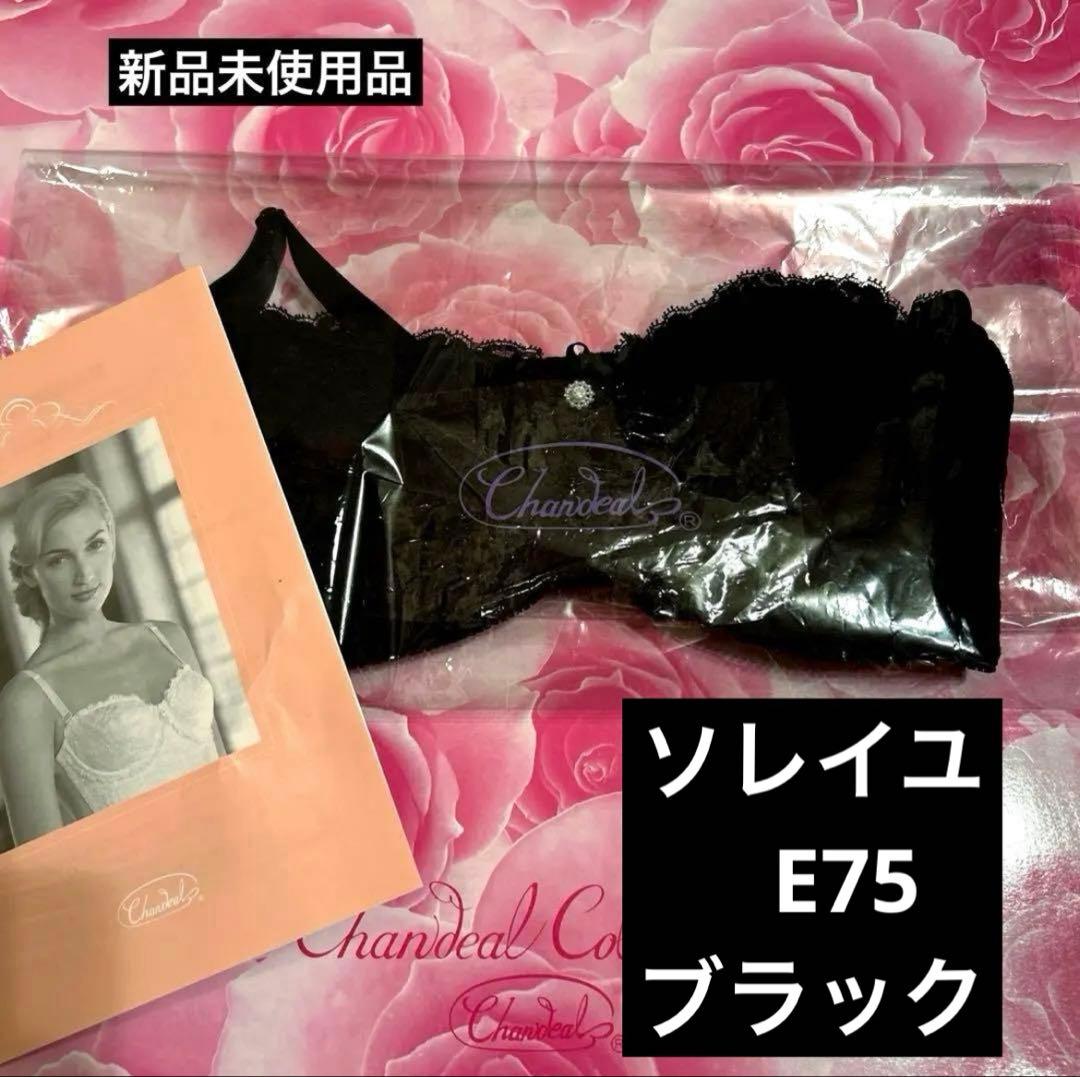 補正下着　シャンデール ソレイユ　E75