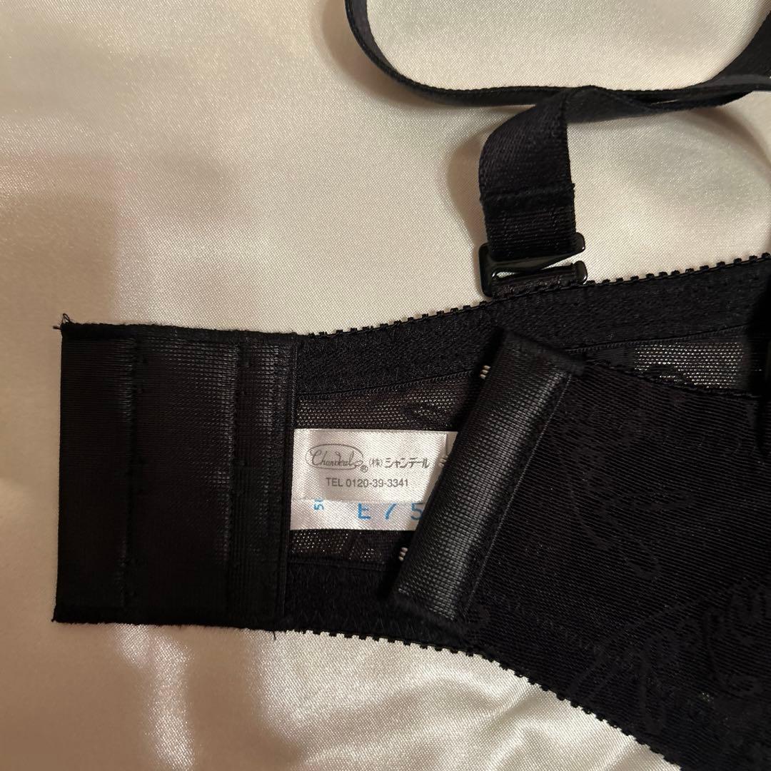 補正下着　シャンデール ソレイユ　E75