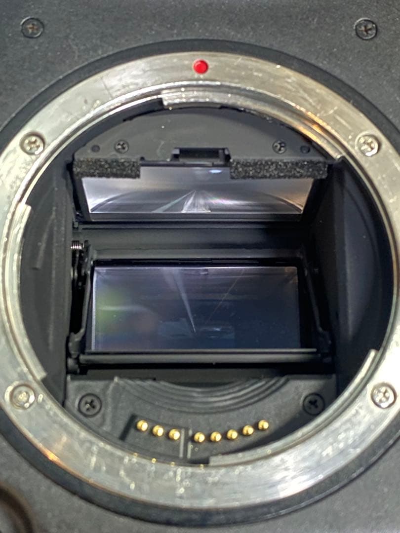 オーバーホール済Canon EOS-1D X Mark II 1DX mark2