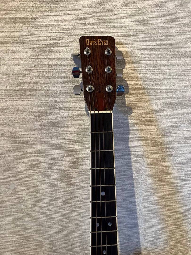 Cat's Eyes CE-200 アコースティックギター　ケース付き