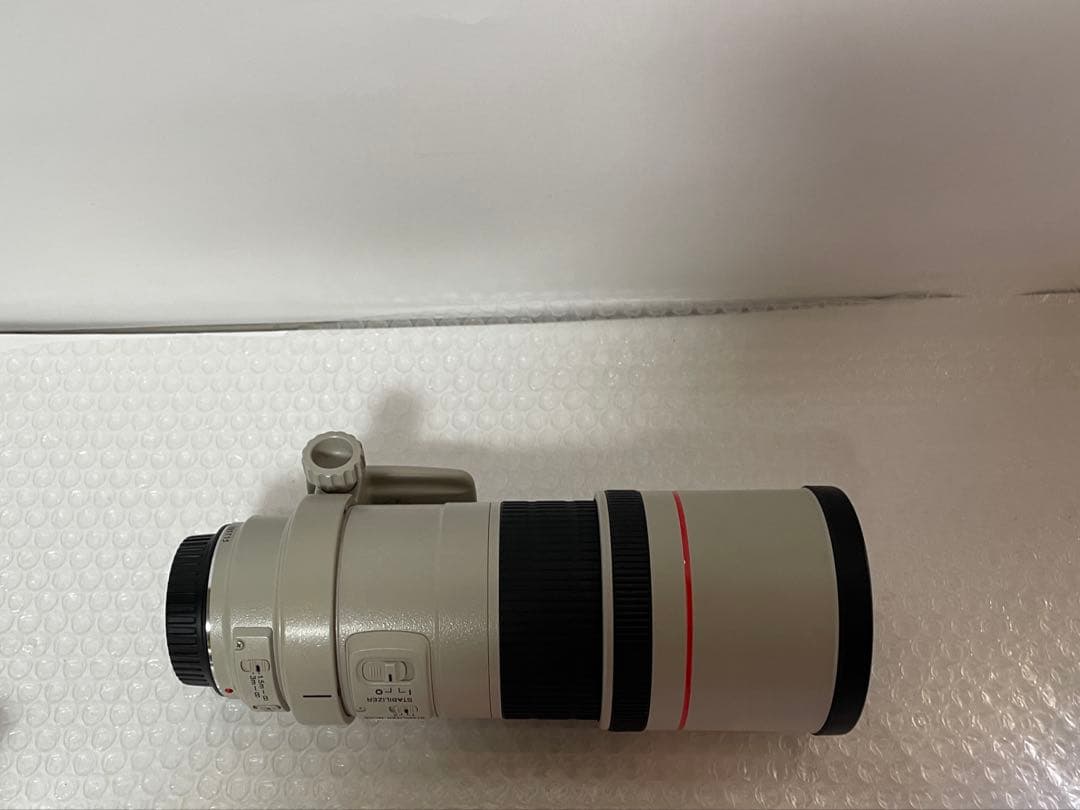 Canon EF 300mm F4 L USM キヤノン望遠レンズ EFマウント