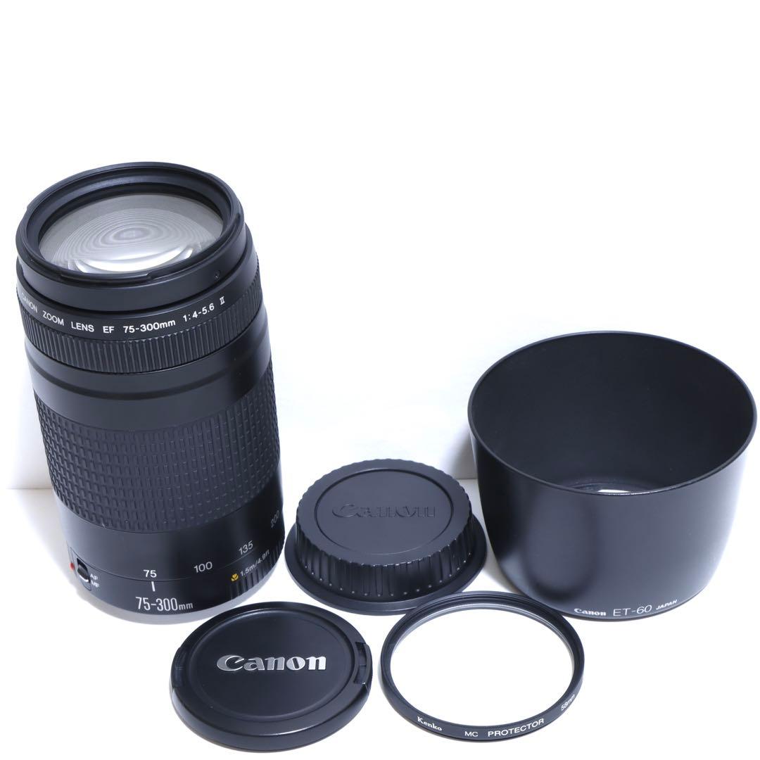 ◇超望遠&高速AF◇Canon純正 75-300mm II 超望遠レンズ!!◇