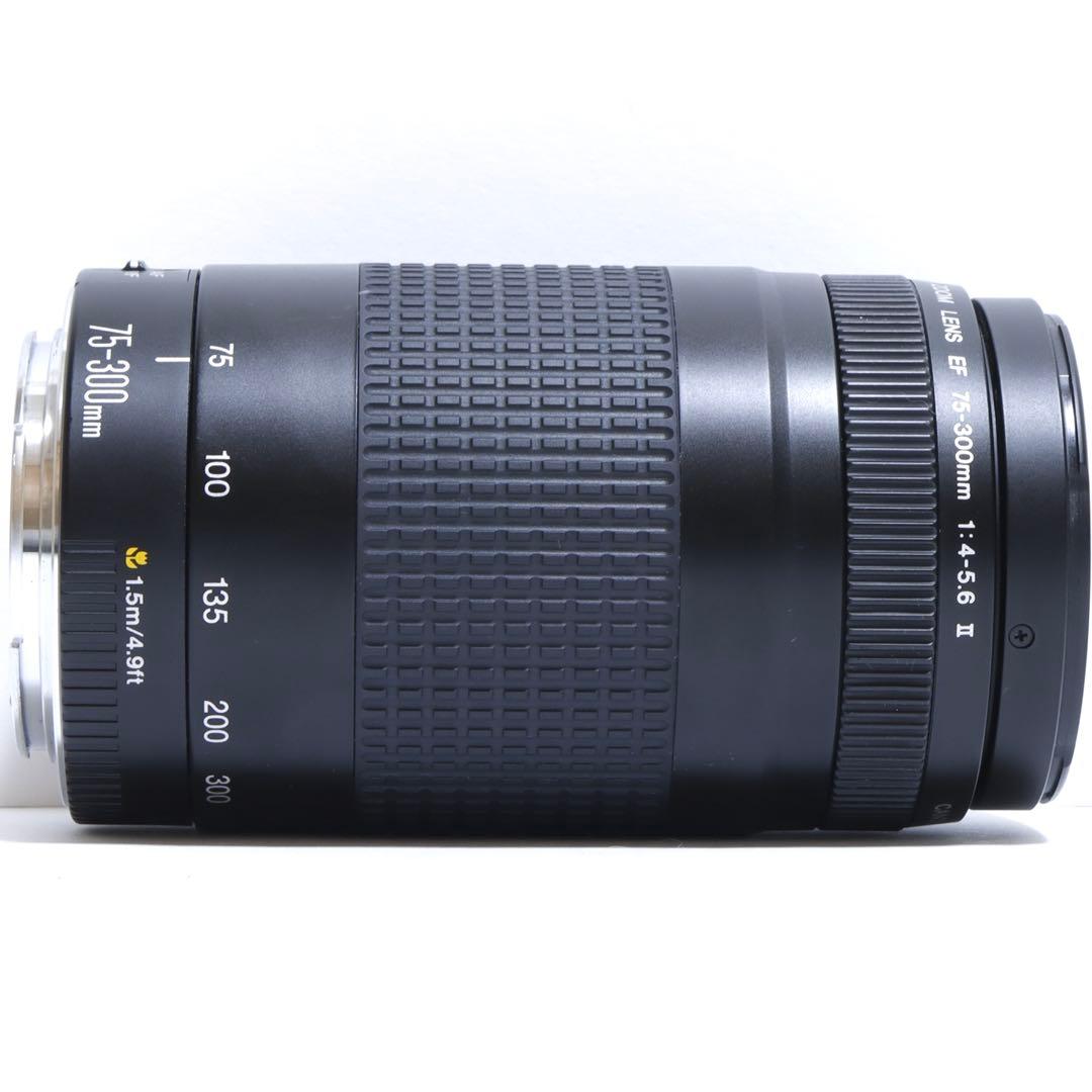 ◇超望遠&高速AF◇Canon純正 75-300mm II 超望遠レンズ!!◇