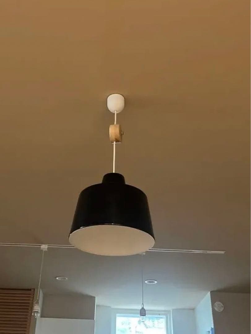 Landscape Products シーリングライト　Ceiling Lamp