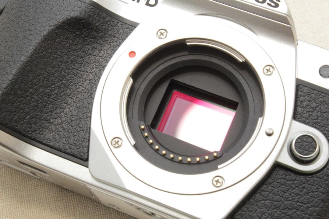 新品級！OLYMPUS OM-D E-M10 Mark III ダブルズ―ム