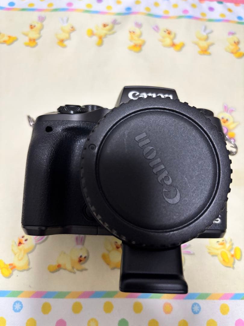 【蒼越さま専用！】Canon デジタル一眼レフカメラ・メモリーカードセット