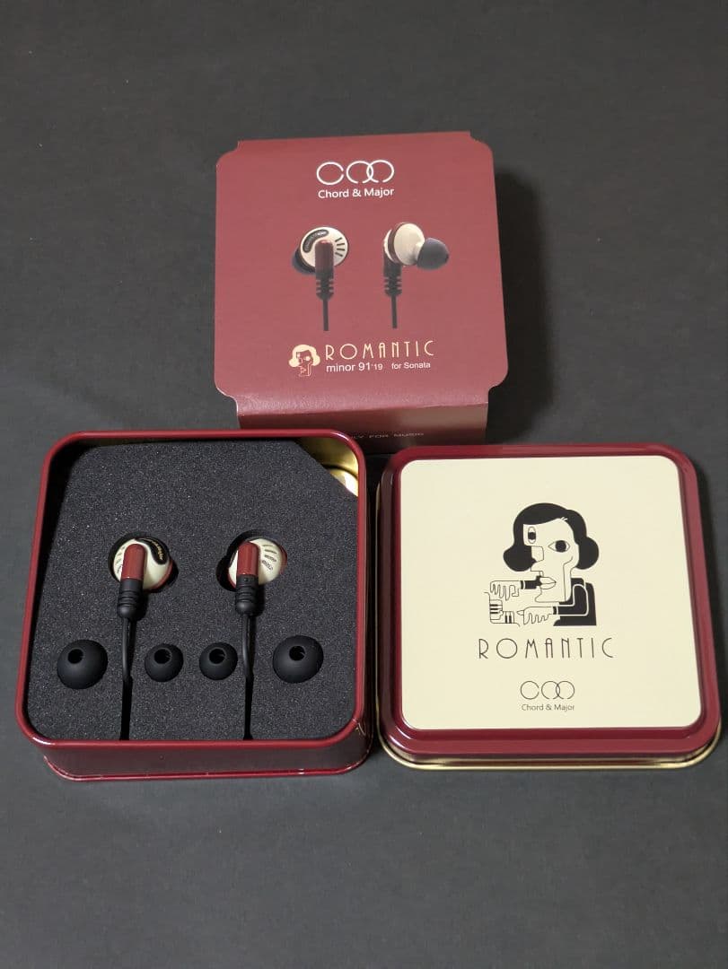 イヤモニ　有線イヤホン　リケーブル可能イヤホン　美品　DAC　清掃済　セット