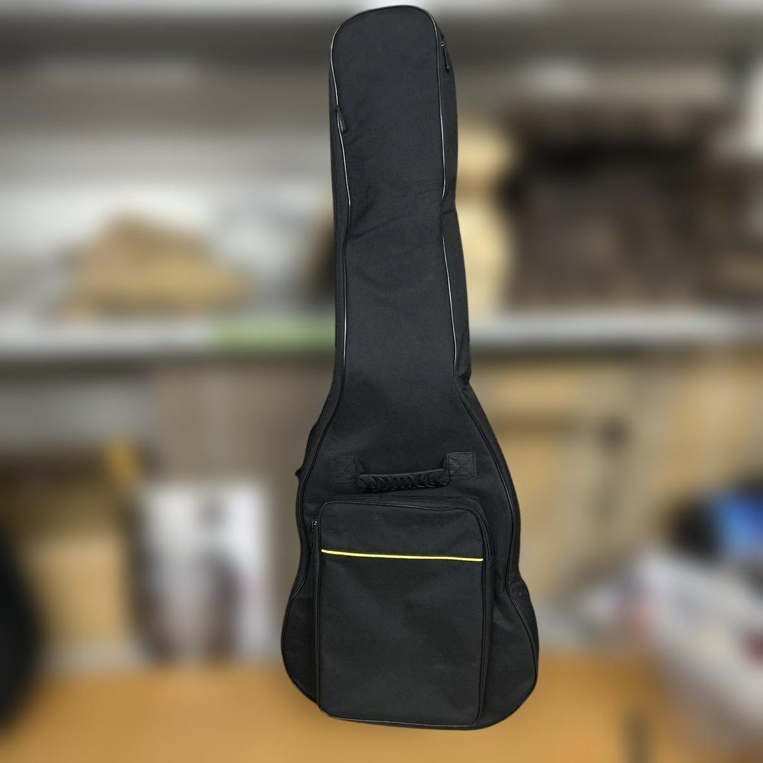 HRK15 Bacchus Live Road LES PAUL TYPEエレキ