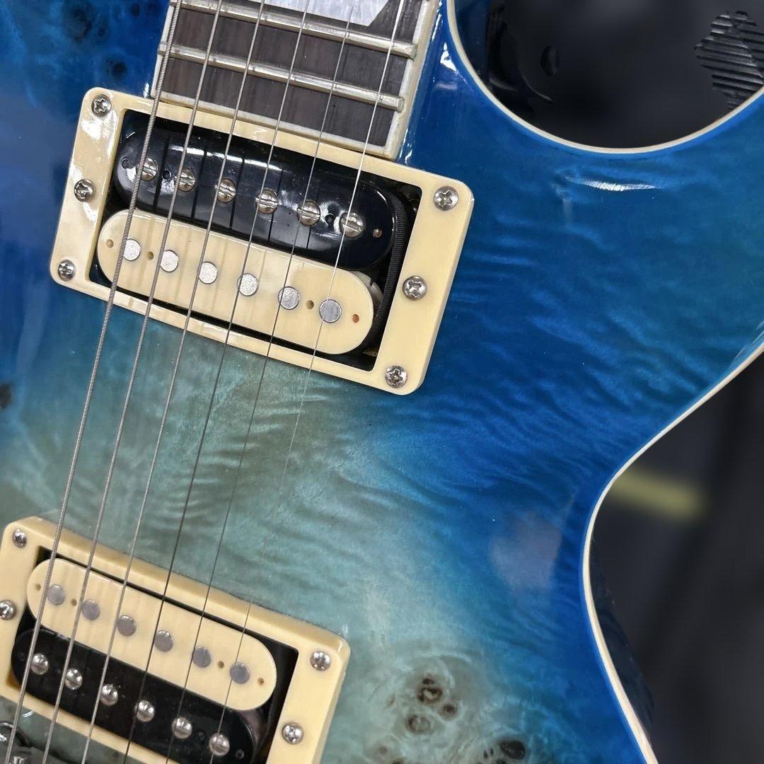 HRK15 Bacchus Live Road LES PAUL TYPEエレキ