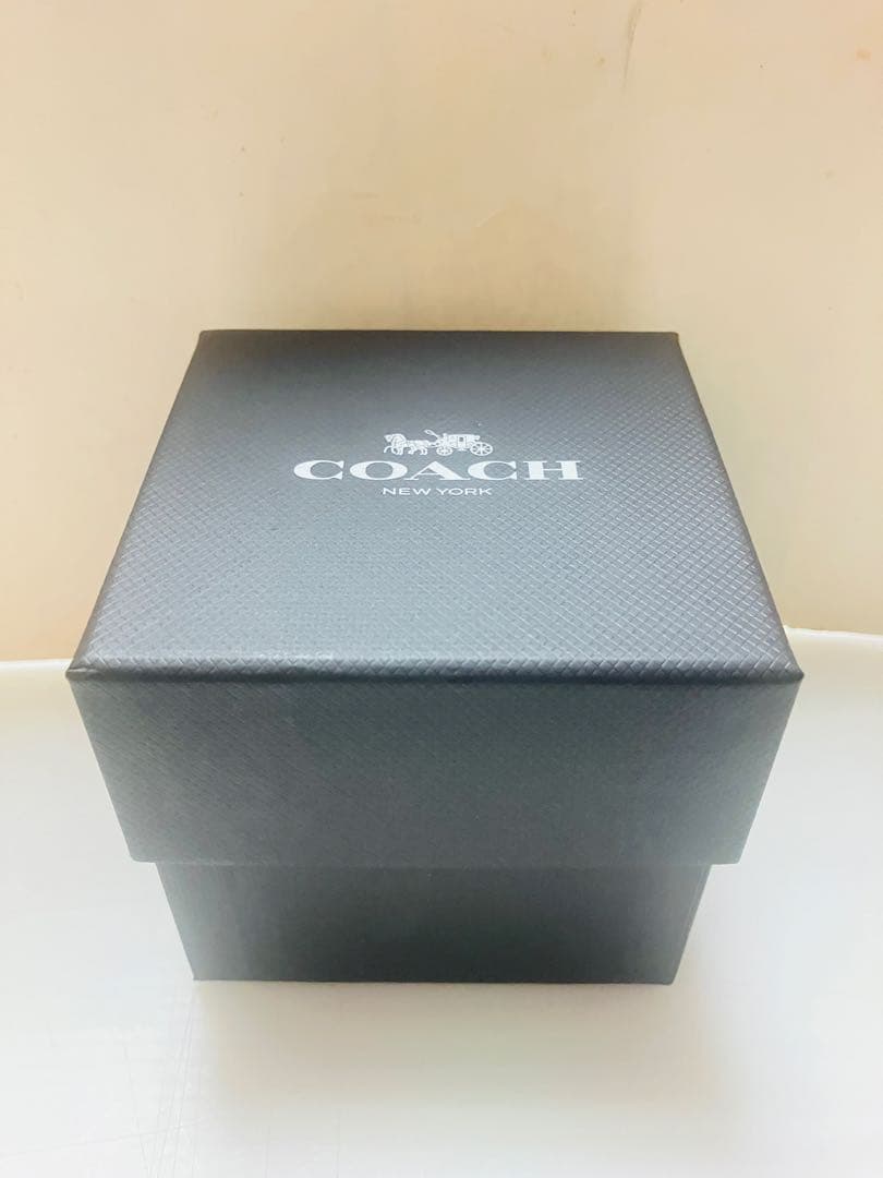 【新品未使用】COACH コーチ 腕時計 Perry Starry Dial