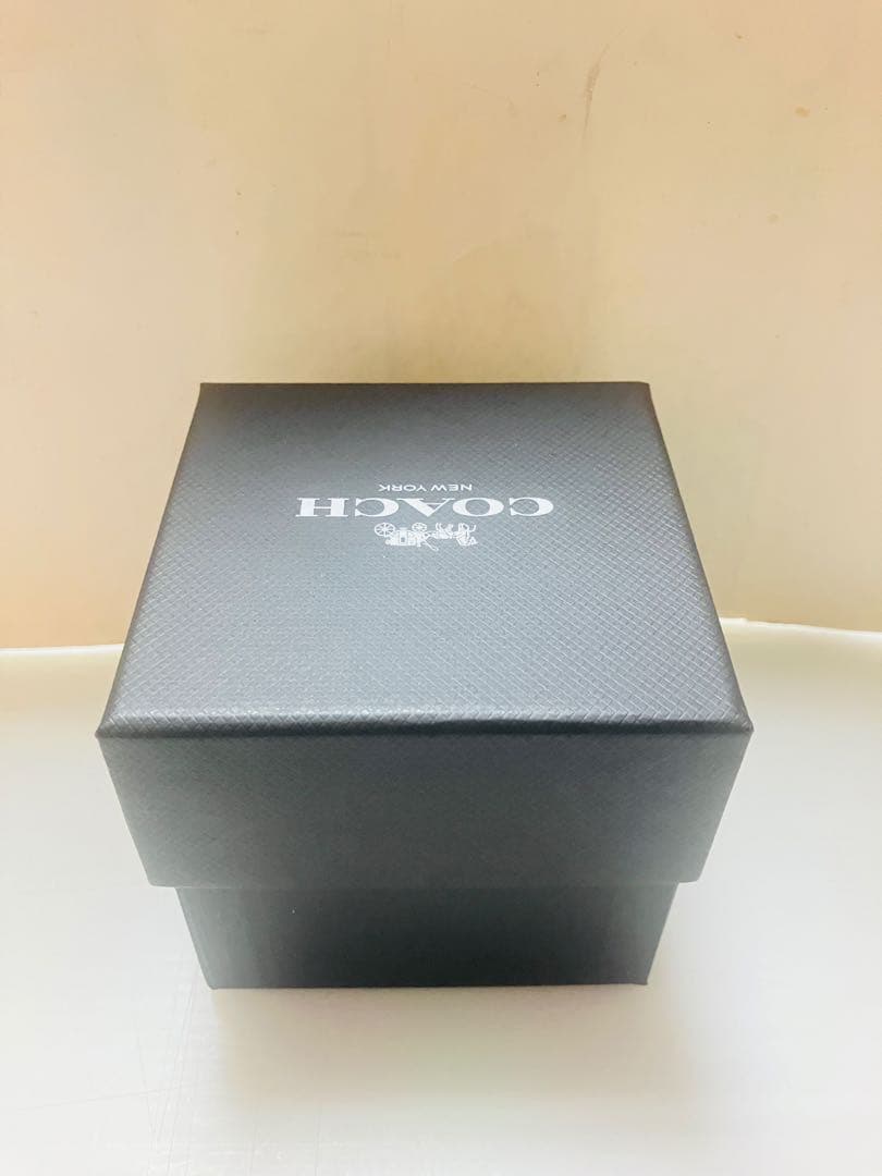 【新品未使用】COACH コーチ 腕時計 Perry Starry Dial